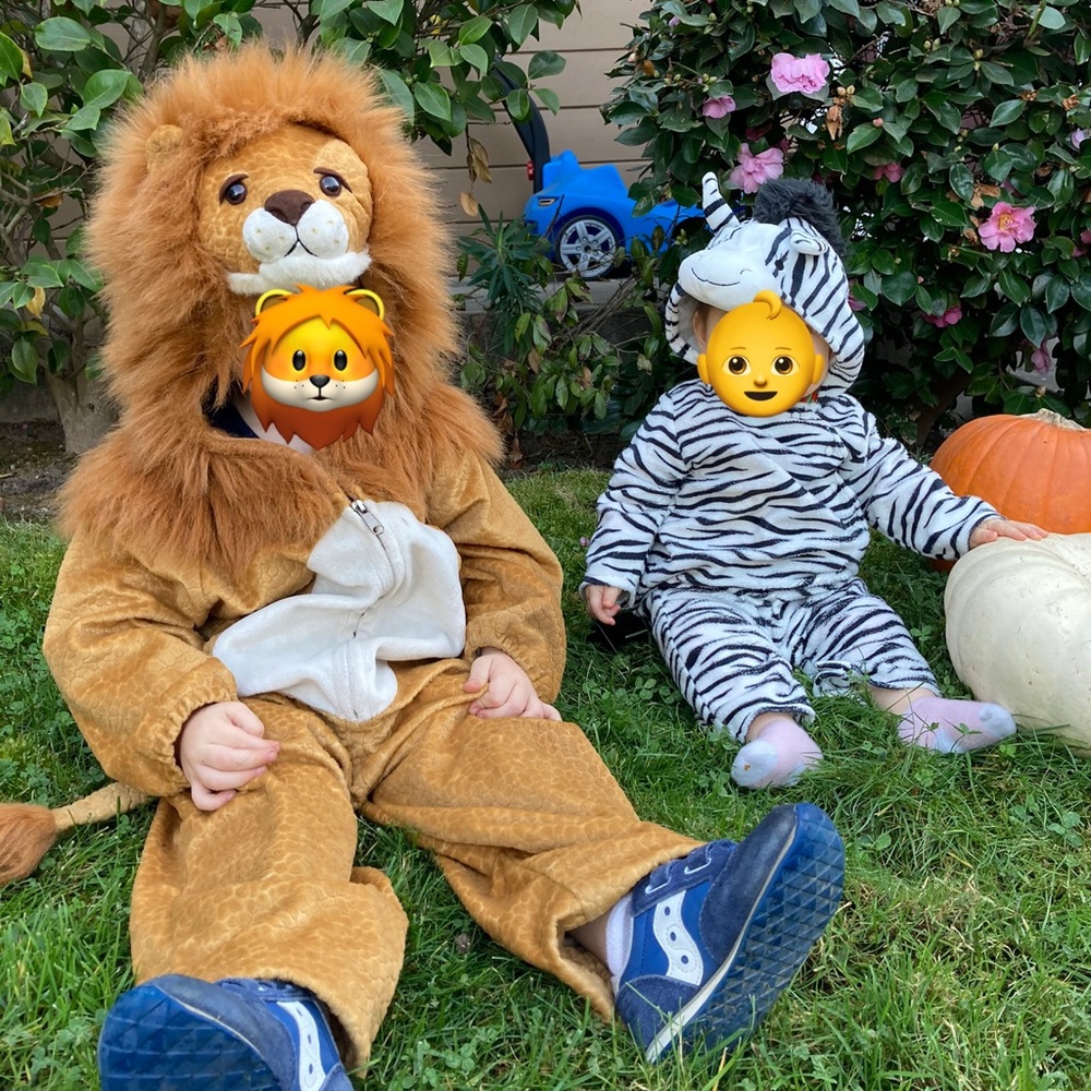 Toddler 3t-5t Lion and Baby 6-12 mo Zebra Halloween costumes